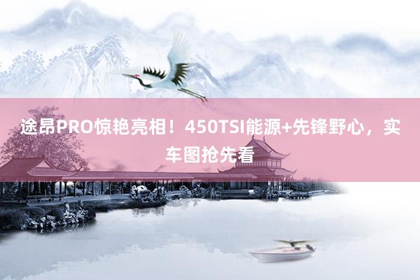 途昂PRO惊艳亮相！450TSI能源+先锋野心，实车图抢先看