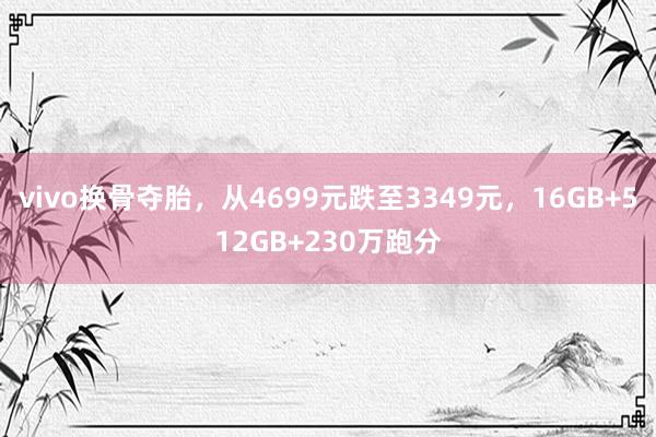 vivo换骨夺胎，从4699元跌至3349元，16GB+512GB+230万跑分