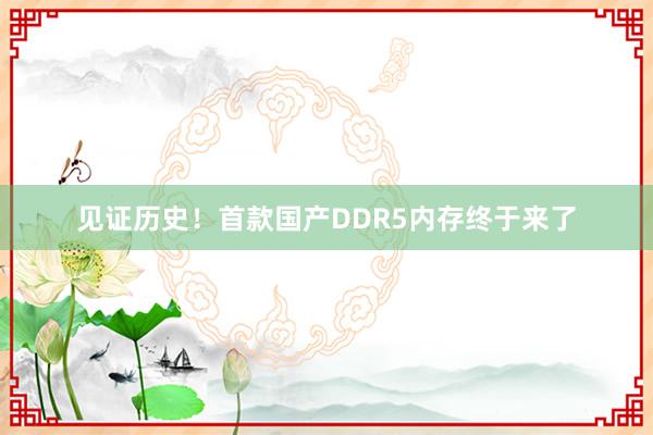 见证历史！首款国产DDR5内存终于来了